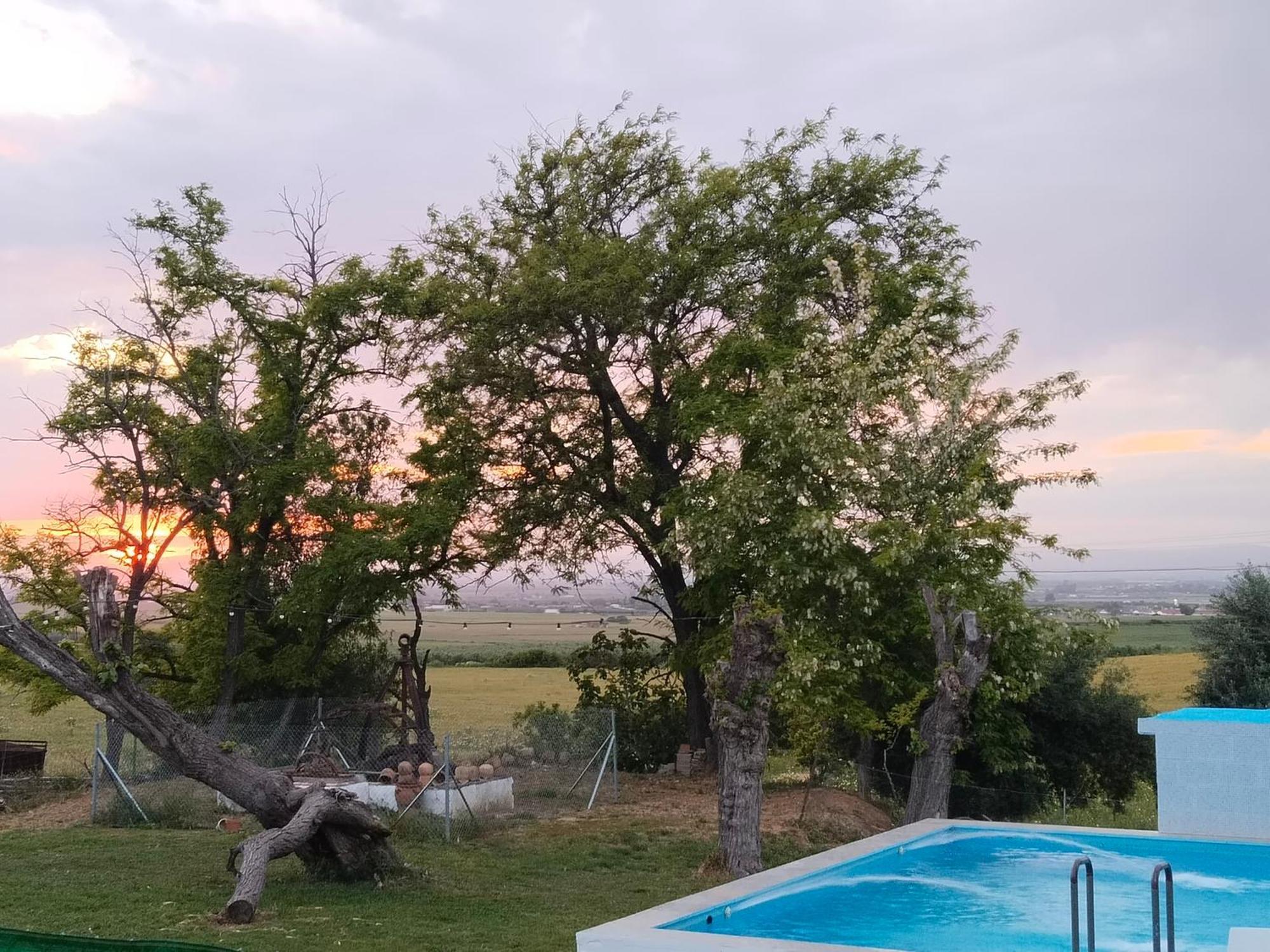 Casa Rural Cerro Campon Carmona  Eksteriør billede